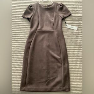 Calvin Klein woman’s sheath silhouette and tulip sleeve dress, size10